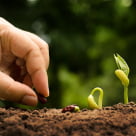 Пожертвование