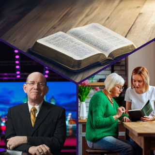 Особые проекты