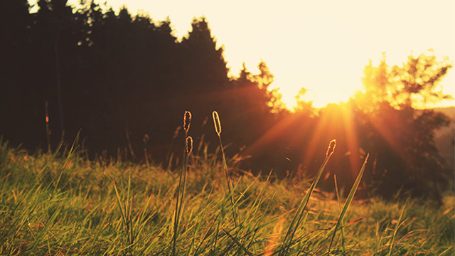 Благословляйте свое будущее