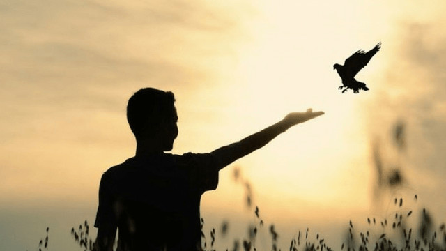 На чьей вы стороне?