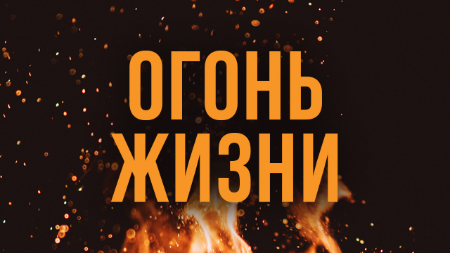 Огонь жизни
