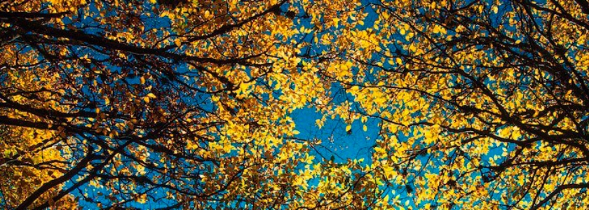 Божий план и Его удивительная верность