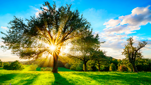 Божье обеспечение: 10 вдохновляющих библейских провозглашений