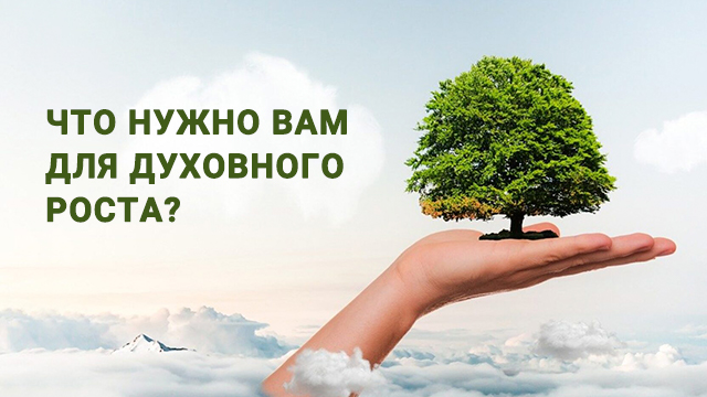 Что нужно Вам для духовного роста?
