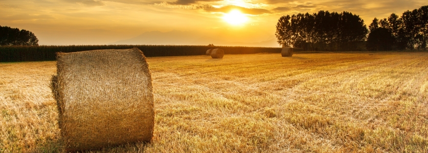 Молите Господина жатвы