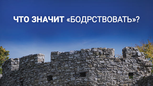 Что значит «бодрствовать»?