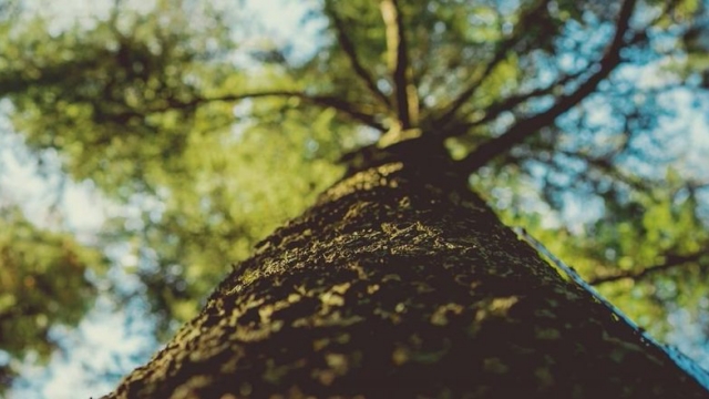 Как перестать обижаться?