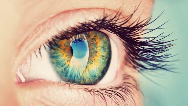 Что ты видишь перед собой?