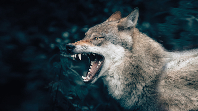 Как реагировать на события, представляющие угрозу жизни