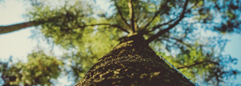 Как перестать обижаться?