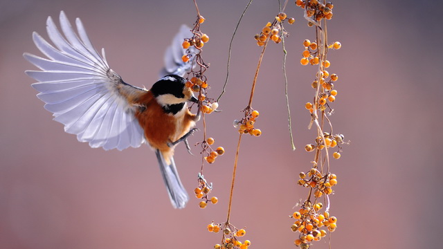 Жизнь по Духу