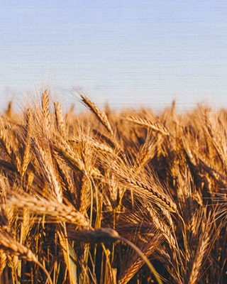 Десятина: принесите и испытайте