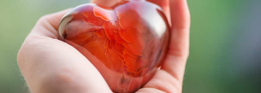 Непрощение разрушает Вас изнутри – обретите свободу!