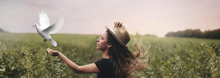 Нужно ли простить и забыть, чтобы избавиться от боли?