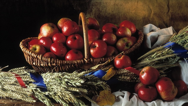 Как приносить больше плода?