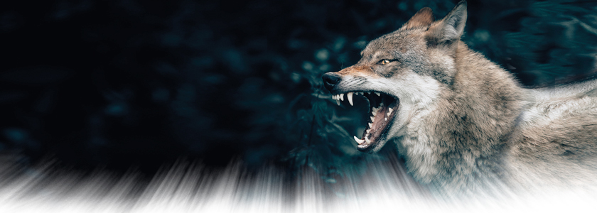 Как реагировать на события, представляющие угрозу жизни