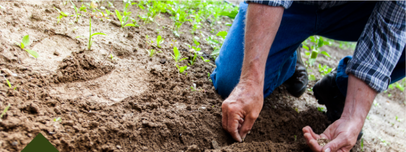 Важный аспект взаимоотношений с Богом