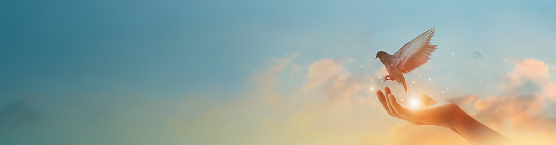 Символы Святого Духа