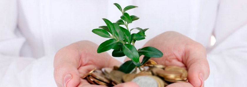 Получение выгоды не должно стать вашим мотивом