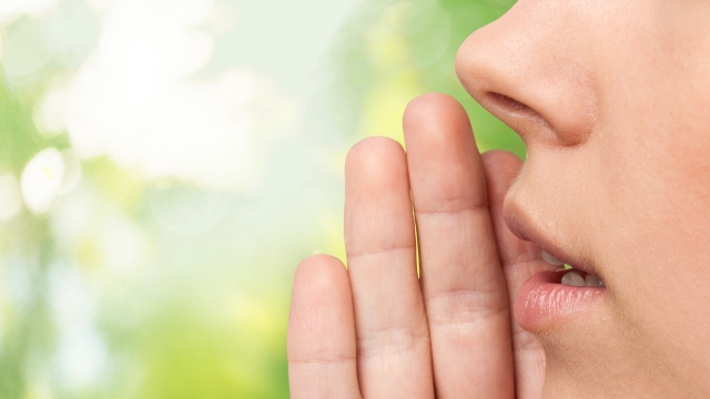 Скажи лишь слово