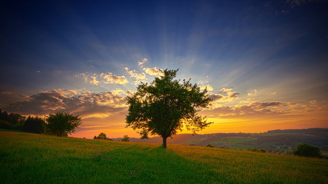 Единый Истинный Бог