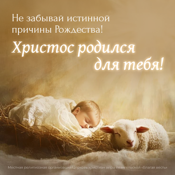 Младенец_2026