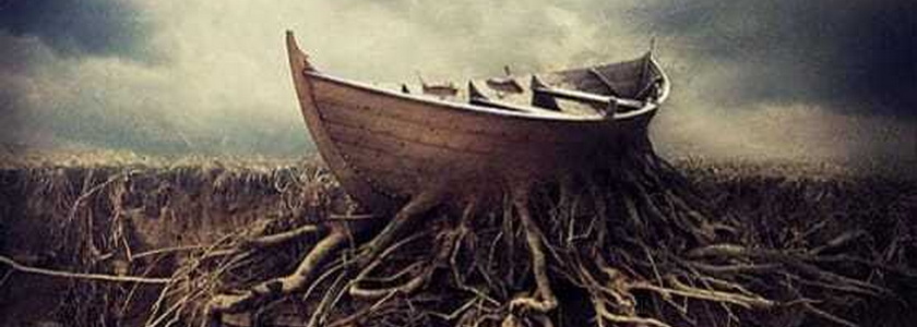 Атаки на тело, разум и здоровье: смотрим в корень