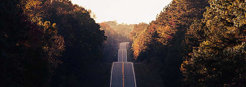 Наш мудрый проводник