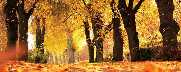 Как правильно давать пожертвование?