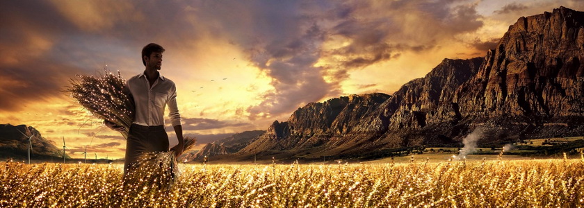 Что делать, если Ваши финансы подверглись атаке