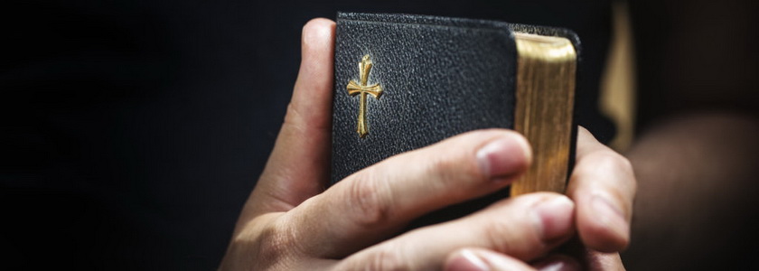 Наше главное оружие 