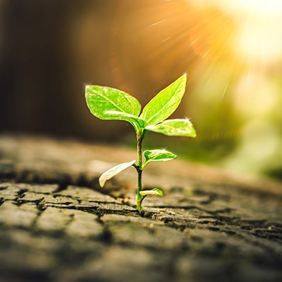 Вера и духовный рост