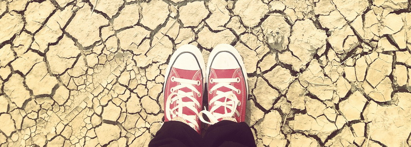 Неблагодарность