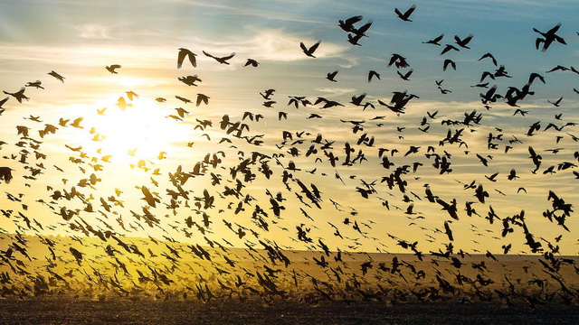 Почему мы подвергаемся атакам