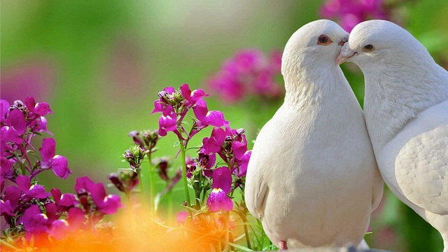 6 вопросов, которые нужно задать перед обручением