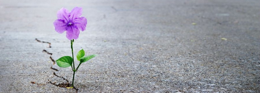 Никогда не сдавайтесь