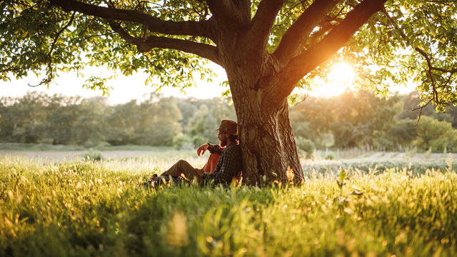 Господь всегда со мной: не уходи от Божьей защиты