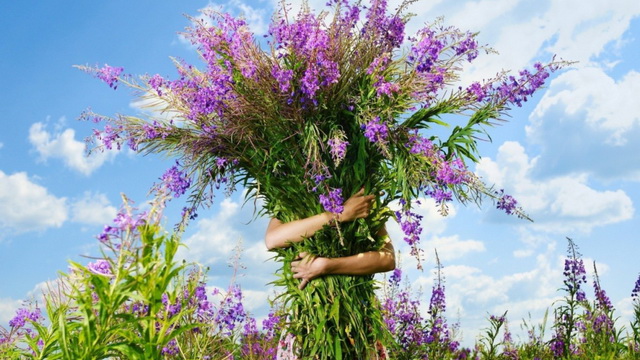 Божьи законы изобилия