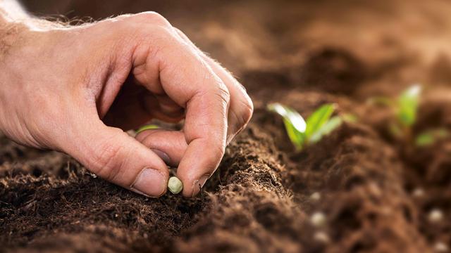 Как верующим справляться с финансовыми трудностями