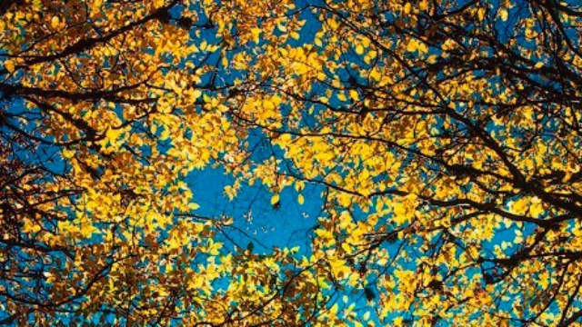 Божий план и Его удивительная верность