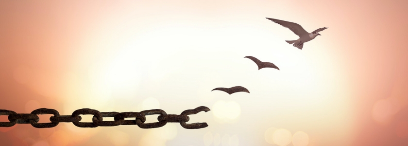 Как простить горькую обиду?