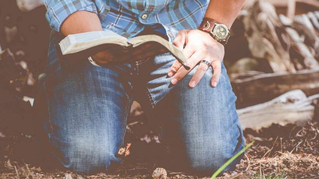 Семинары «Принципы веры»