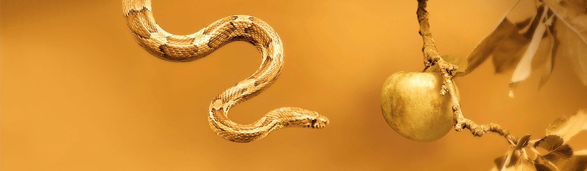 Противостаньте злу