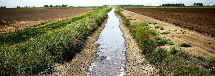 Бог проложит Вам путь даже через пустыню!