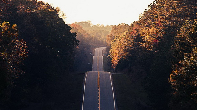 Наш мудрый проводник