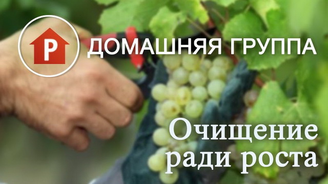 Очищение ради роста