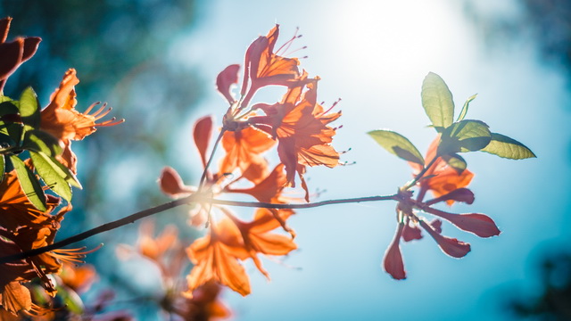 Помните, как благ Господь к вам!