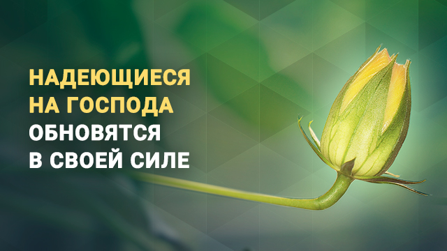 Надеющиеся на Господа обновятся в своей силе