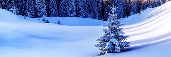 Настоящая история Рождества