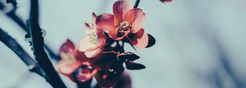 Ожидайте и будьте уверены —  Бог ответит!